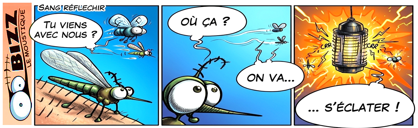 Sang Reflechir