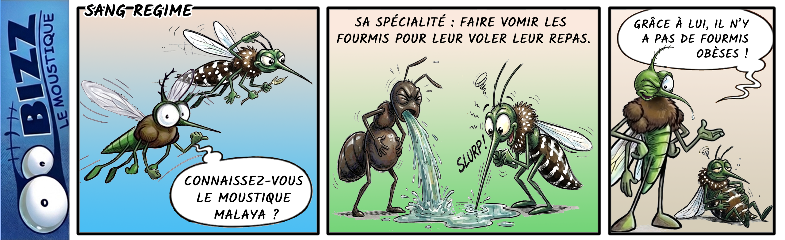 Sang régime