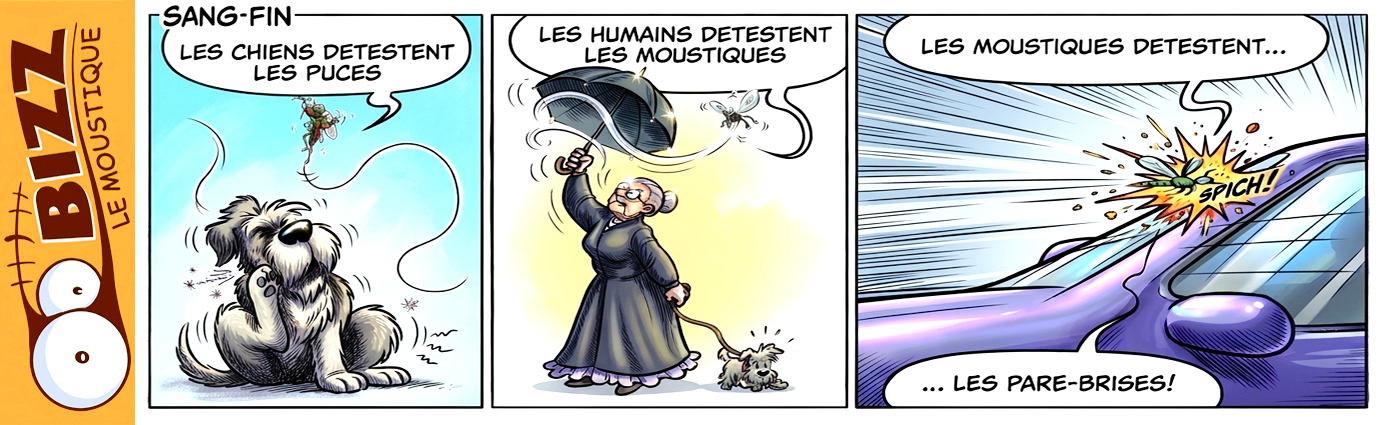 Sang fin – version couleur